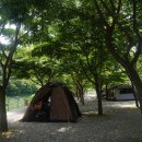 유로메디케어 네이버블로그