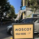 씨샵홍대플래그쉽 | 모스콧 렘토쉬 보려고 씨샵홍대 플래그쉽 홍대안경점방문했어요.