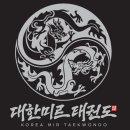 대한미르태권도장 이미지