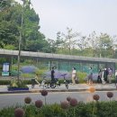 2025 서울국제정원박람회 스케치(in 보라매공원)