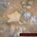 수림꽃농원 이미지