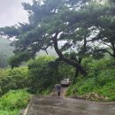 자양면-보현4리-11 | 자양면 천년고찰 거동사