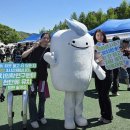 제27회 영주 전국장승축제 | 데이흥행폭발][빵지순례전국열풍][천안로컬브랜드성공...천안][청양칠갑산장승문화축제] - 박길수기자의...