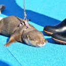 상상스테이 이미지