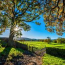 행복을 주는 행정사 이미지