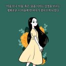신비세탁소 이미지
