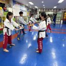 한국체대 비호태권도 이미지