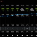 지천면사무소 이미지