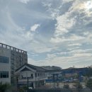 경주농협 주유소 이미지