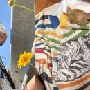 무지개다리화장실 이미지