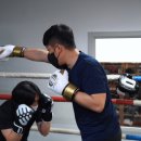 부산챔프복싱클럽 이미지