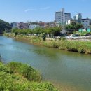 송정천체육공원 이미지