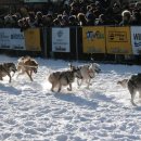 루키목장 이미지