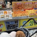 속초 중앙시장 맛집 횡부자튀김 누룽지 오징어 순대 추천