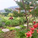 현암리 돌담집 이미지