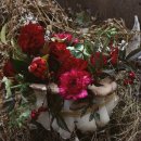 컨포지움 이미지