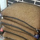 내곡동274 | 강릉 내곡동 국산 잣과 콩으로 만들어 줄 서서 먹는 여름 별미 콩국수 맛집 ‘미림헌’