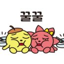 가메스시 이미지