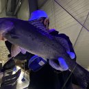 화성락실내바다낚시터 이미지