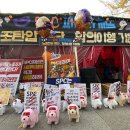 파리바게뜨 앞 이미지