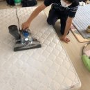 인자하우스
