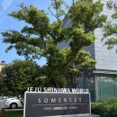 스위트월드 이미지