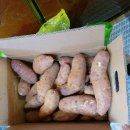 서아농장 이미지