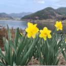 구례목장 이미지