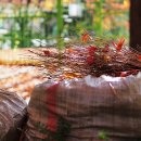 목동동로1길 이미지