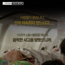 나! 박이야 이미지