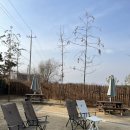 댕그라운드 이미지