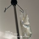 나비바 OSEN