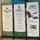 아쿠아가든 카평 내돈내산 데이트 (입장료 베이커리 아기랑 애견동반 근처 식당 할인 가격 가평 당일치기)