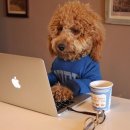 강원중학교 이미지