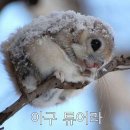 예나르공예박물관 이미지