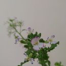 땅부자부동산중개사무소 이미지