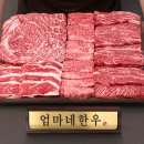 마음의온도 | 명절, 한우 선물에 담긴 마음의 온도– 따스한 경험과 실제 후기로 풀어보는 한우 선물의 가치