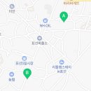 팅커벨강아지미용실