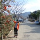 북면사무소 이미지