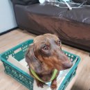 죽백4로 이미지