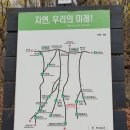 안골길 이미지