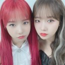 유정유리 이미지
