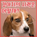 한양동물메디컬센터 이미지