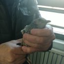 유화프라자 이미지