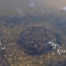 연자농장 이미지