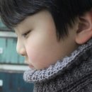 아모니카