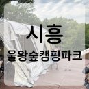 캠핑숲 | 서울 근교 캠핑장 추천 | 시흥 “물왕숲캠핑파크” 솔직후기