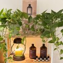 한국다카라벨몬트㈜ | 부천헤드스파 스파바움 두피스파로 하루 피로가 싹 풀고 온 후기