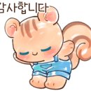 아씨인테리어
