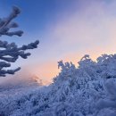 예담학원 이미지